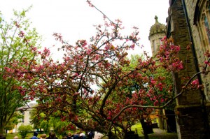 Outside cathedral