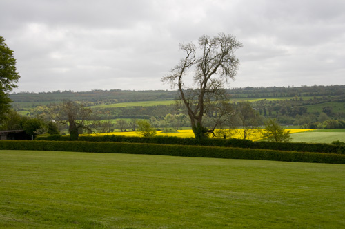 View looking from entrance