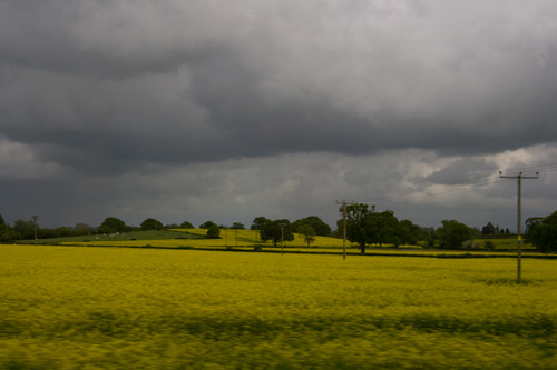 Dramatic sky with field of rape