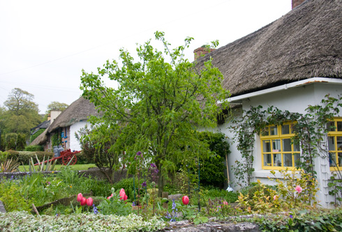 Thatched roofs