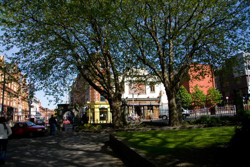 Looking across cathedral park