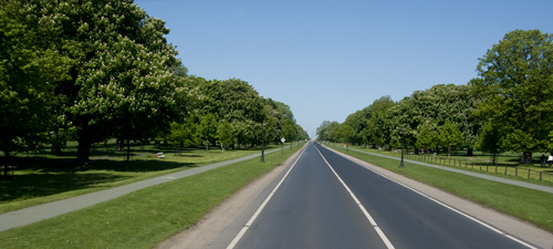 Phoenix Park (10 times larger than Hyde Park in London)